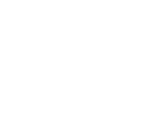 Minna de Dokusho DS - Keetai Shousetsu Desuuu (Japan) [b] Cover